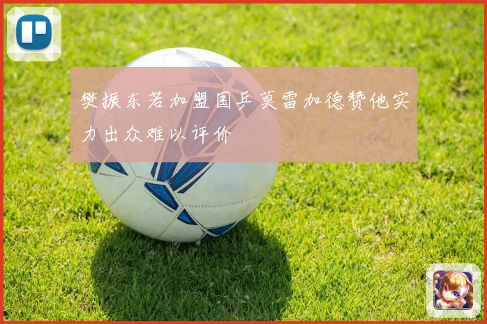 樊振东若加盟国乒莫雷加德赞他实力出众难以评价