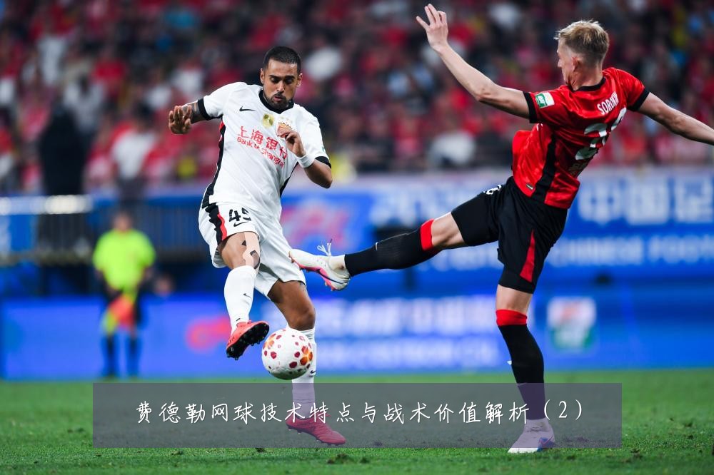 费德勒网球技术特点与战术价值解析(2)